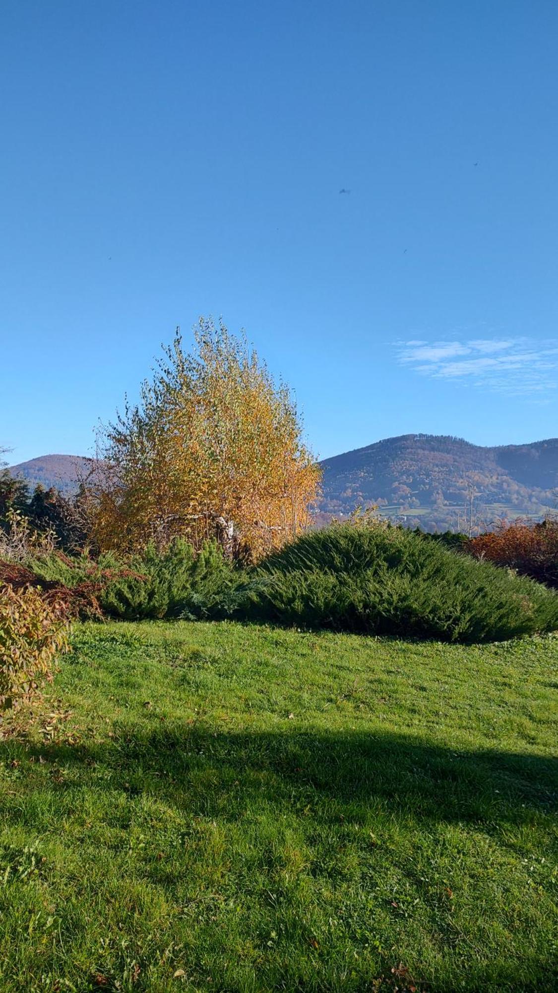 Dog Friendly Dom, Apartamenty Wichrowe Wzgorza Z Basenem Brenna Ustron Luaran gambar