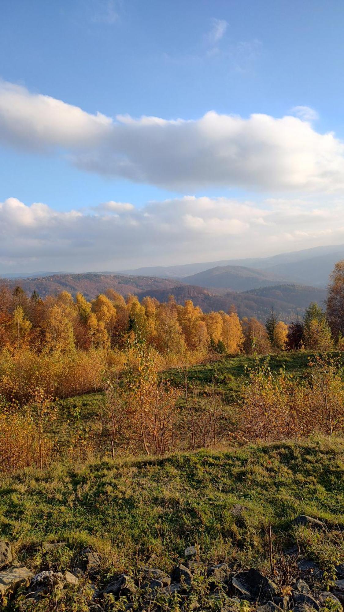 Dog Friendly Dom, Apartamenty Wichrowe Wzgorza Z Basenem Brenna Ustron Luaran gambar