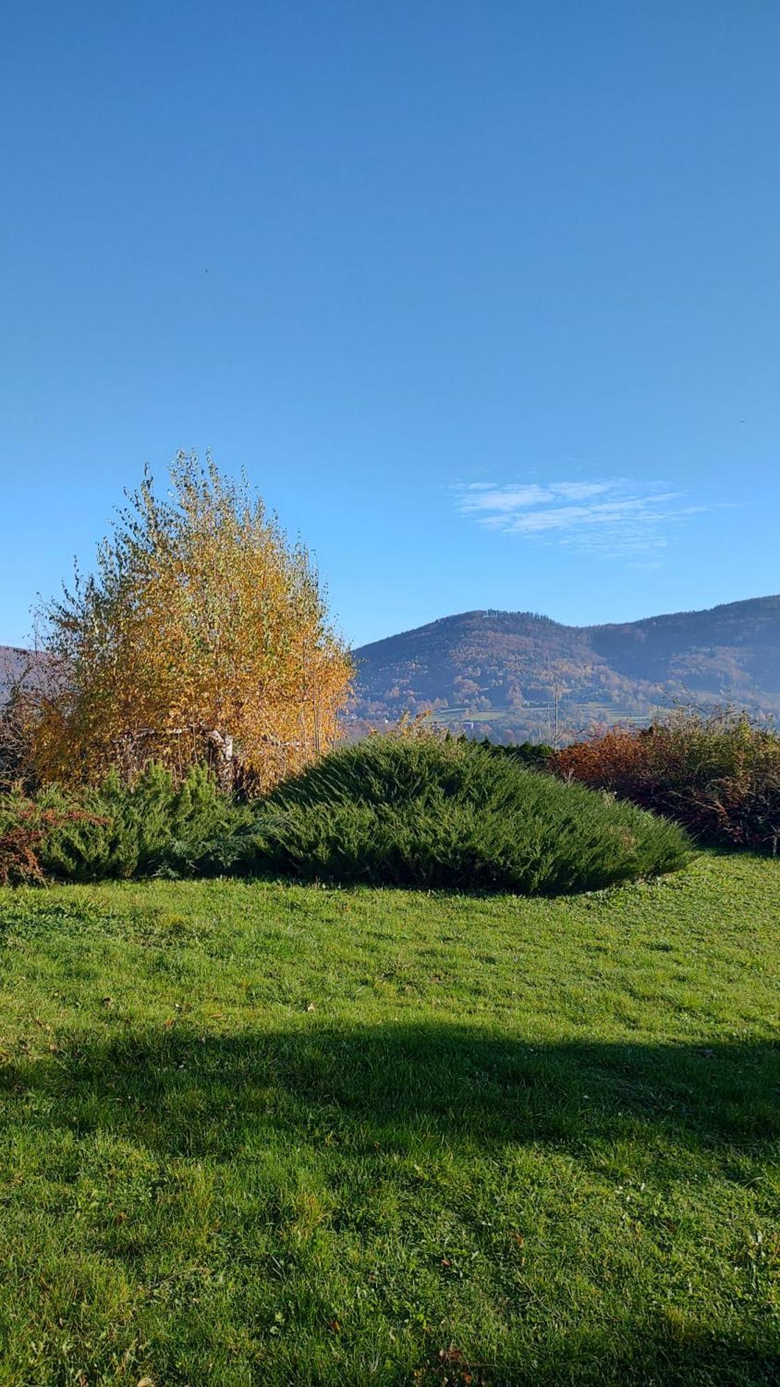 Dog Friendly Dom, Apartamenty Wichrowe Wzgorza Z Basenem Brenna Ustron Luaran gambar